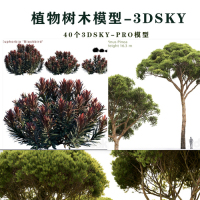 40个植物树木3DSKY PRO模型国外模型