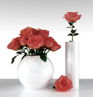 現代花瓶 花藝紅玫瑰