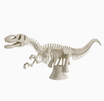 現代恐龍骨架