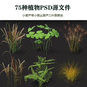 小麦芦苇小草丛草芦三叶草蕨类75种植物PSD源文件(带影子)有png