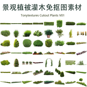 后期景观植物花草素材Tonytextures Cutout Plants V01