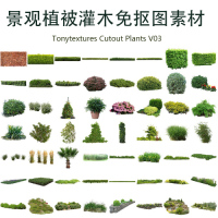 03-Tonytextures Cutout Plants V03 建筑表現景觀植被灌木素材