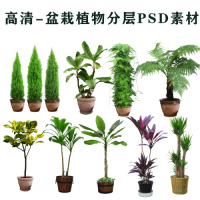 06-高清-盆栽植物-花盆分層PSD文件