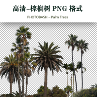 09高清棕榈树素材PHOTOBASH – Palm Trees