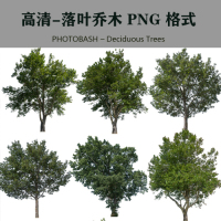 10-高清落葉喬木后期素材PHOTOBASH – Deciduous Trees