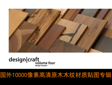 05- 国外10000像素高清原木木纹材质贴图专辑[Arroway Textures Design_Craft vol.4][Design Veneers][木饰面板]