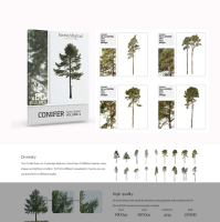 國外80棵超高清樹木PNG素材Forest/Digital Vol.4 – Conifer Trees