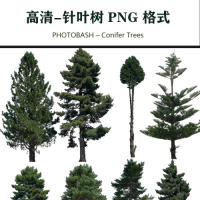 針葉樹高清素材PHOTOBASH – Conifer Trees