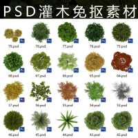 PSD植物灌木平面免扣素材