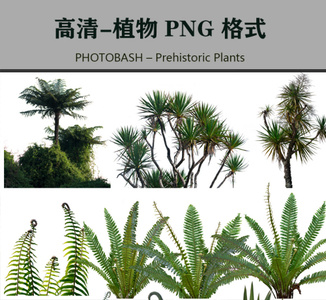 高清植物免抠素材PHOTOBASH – Prehistoric Plants