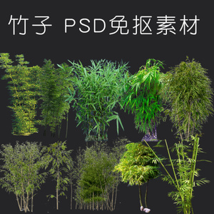 竹子免抠PSD图层素材源文件