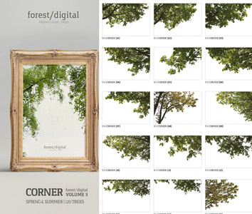 国外角落树PNG免抠素材psd素材-ForestDigital vol. 3 - Corner trees - 120 Trees