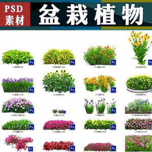 室内盆栽植物PSD图层源文件