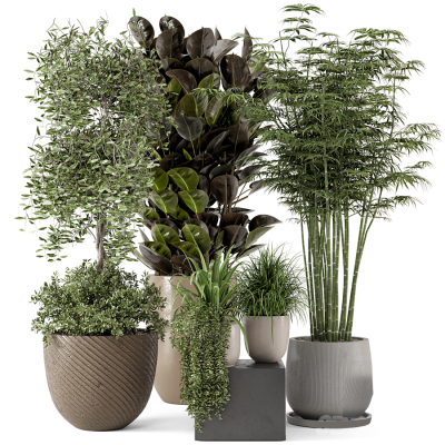 现代植物盆栽3d模型下载