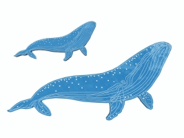 05鯨魚墻飾，掛飾掛件