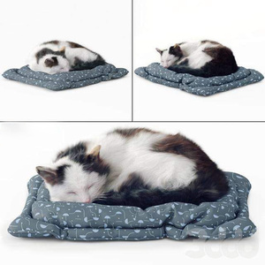 02宠物猫Furry_Cat3d