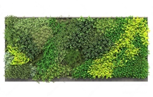 现代绿植墙，绿植墙，植物墙