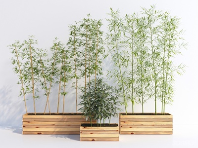 现代风格竹子