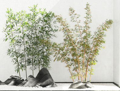 新中式竹子景观石头毛竹