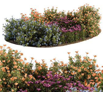 现代花圃灌木，绿植植物