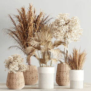 干花花瓶 花艺su模型