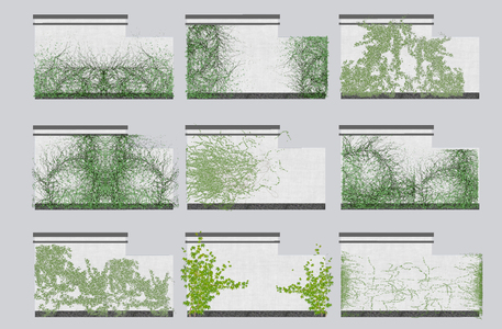 现代植物墙，绿植墙爬山虎su模型