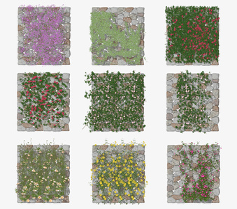植物墙，绿植墙，花墙su模型