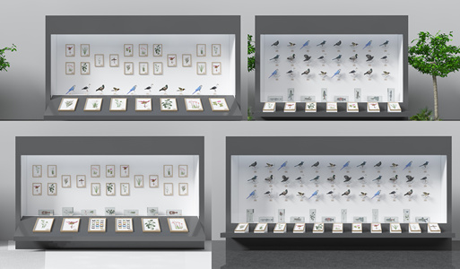 现代植物标本鸟动物标本展墙展柜