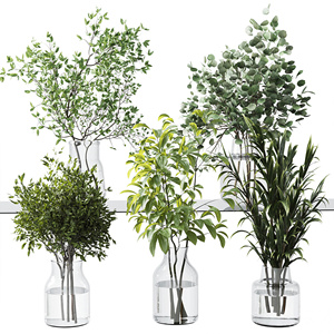 水生植物玻璃花瓶3D模型v