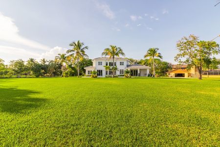 公园草坪外景贴图