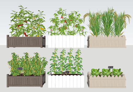 蔬菜花箱SU模型