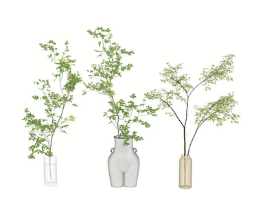 现代花瓶花艺SU模型