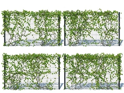 现代爬山虎藤蔓SU模型