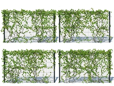 现代爬山虎藤蔓SU模型