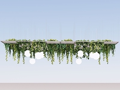 现代垂吊植物爬藤，藤蔓SU模型