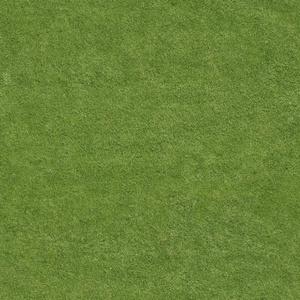 01-无缝土壤草地草皮草坪草坡绿色草地地面贴图 (1)