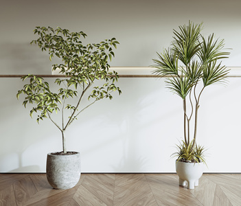  盆栽绿植3D模型