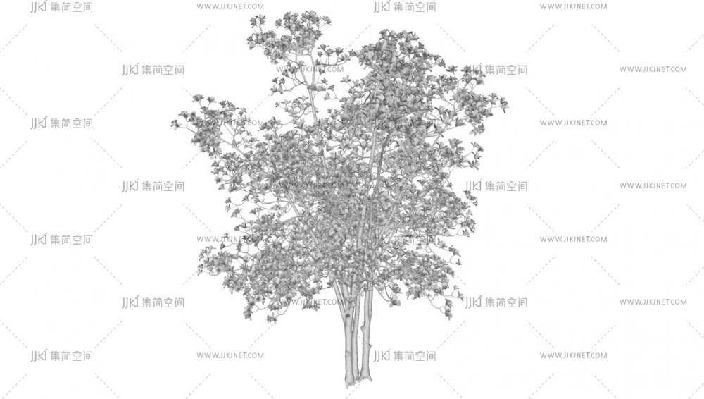 11-玉兰_迎春花_木兰_玉堂春_景观树街道树园林开花树su模型2