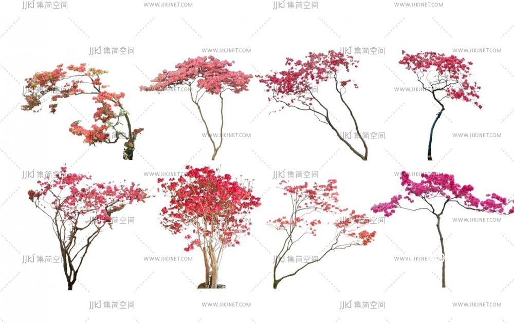 植物组合_造型植物_杜鹃_映山红_造型盆景_盆栽组合SU模型