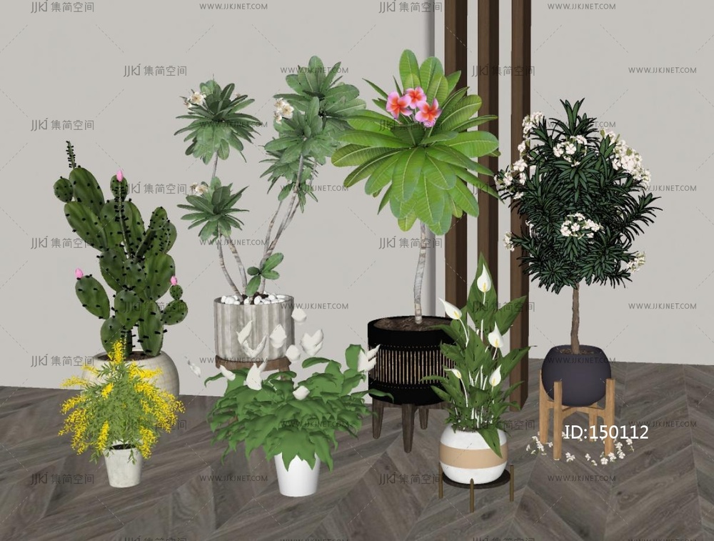 盆栽_现代绿植_盆栽盆景SU模型