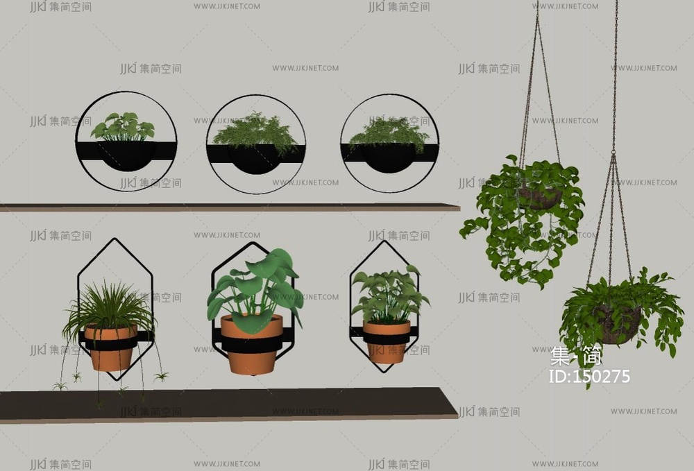盆栽_现代绿植_吊篮SU模型