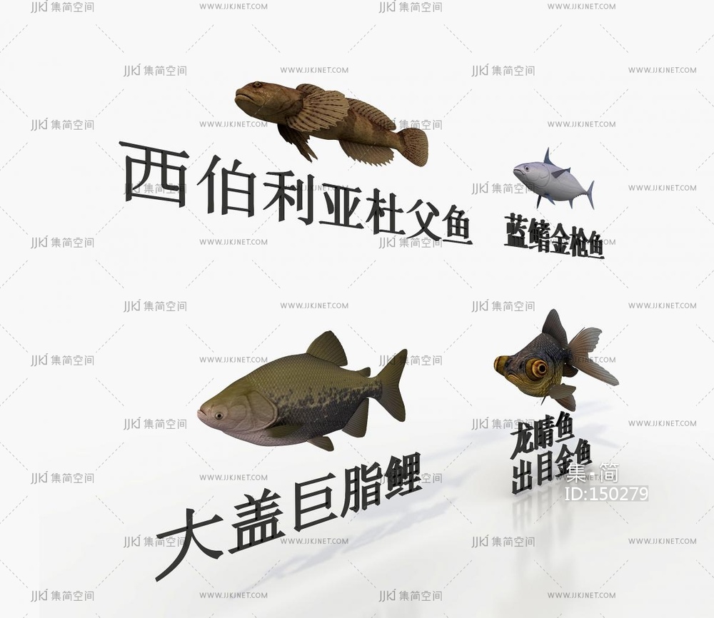 四种海鱼，金枪鱼