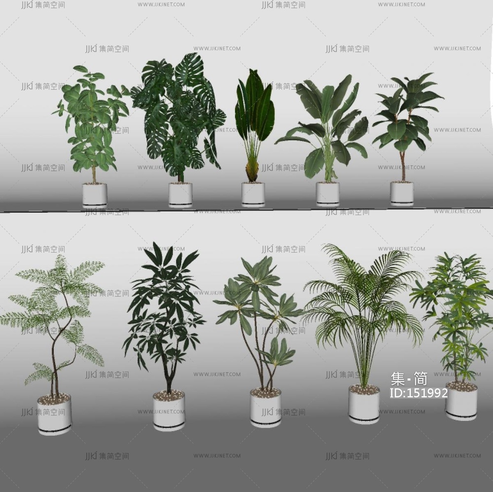 盆栽_植物_落地植物_绿植盆栽SU模型