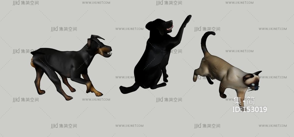 猫狗动物集合