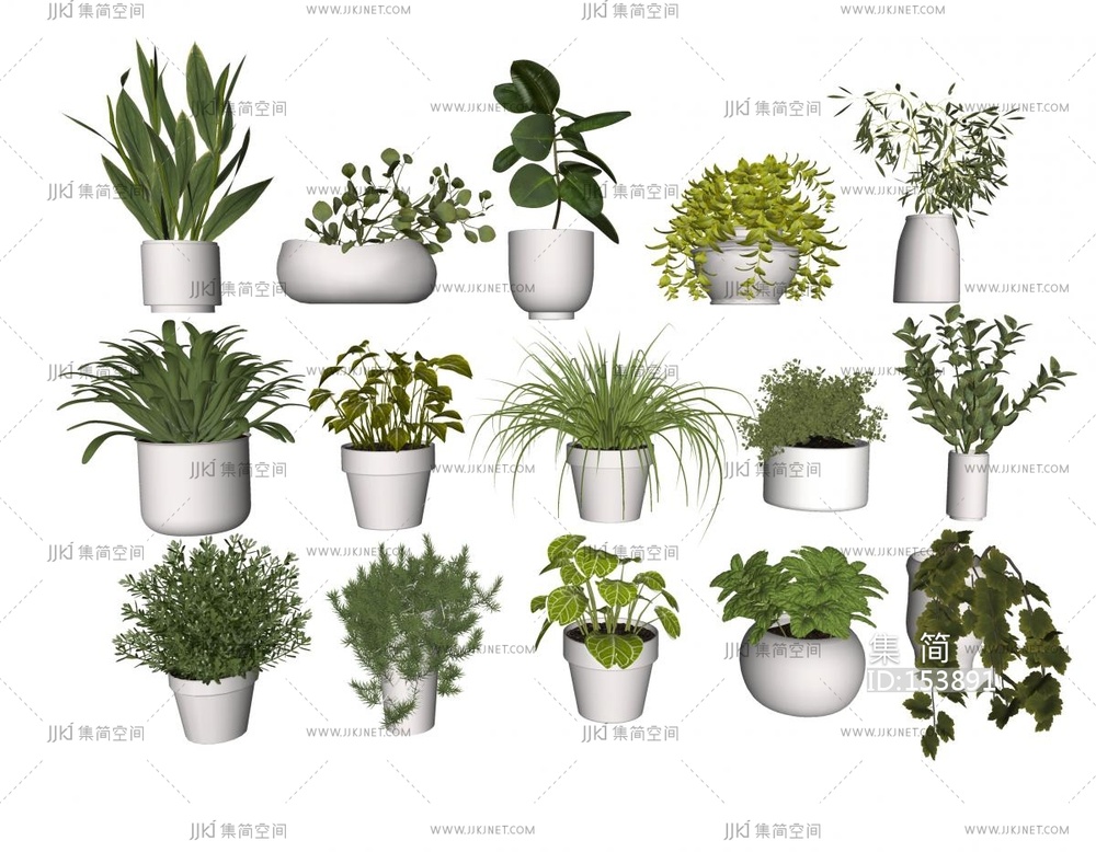 绿萝绿植花盆阳台植物绿植花盆SU模型