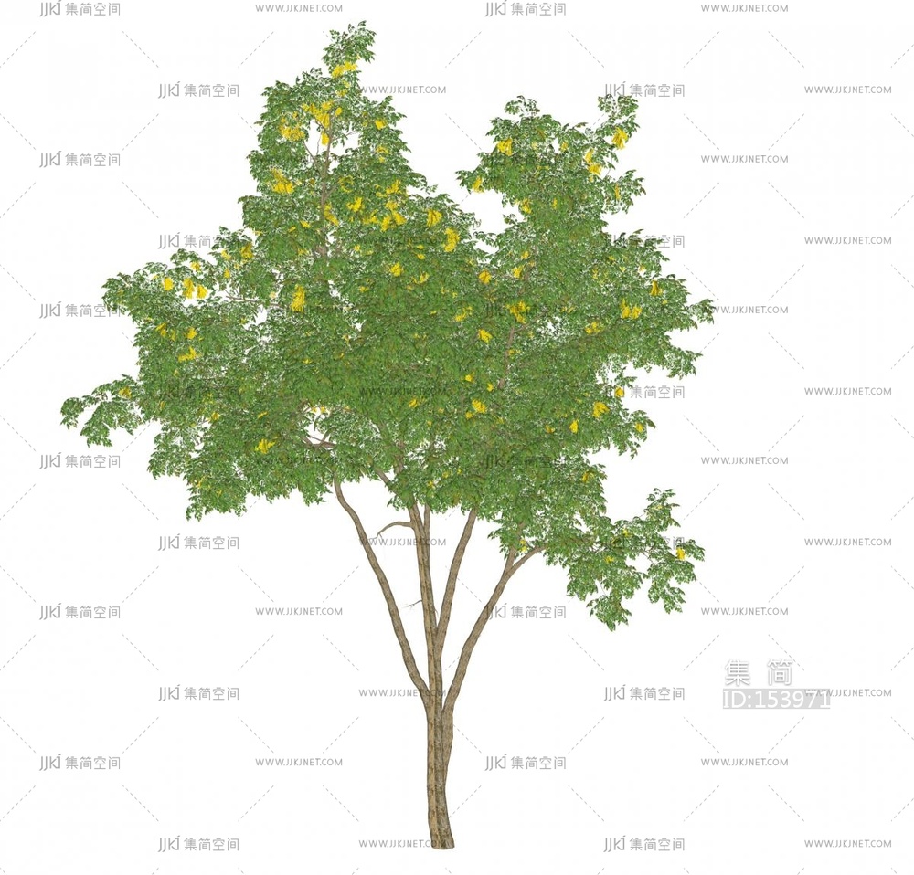 景观树_现代景观树_大树su模型