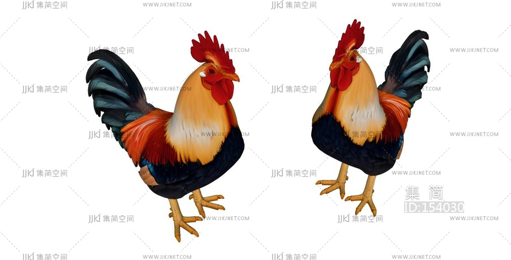 彩色羽毛公鸡 su草图模型