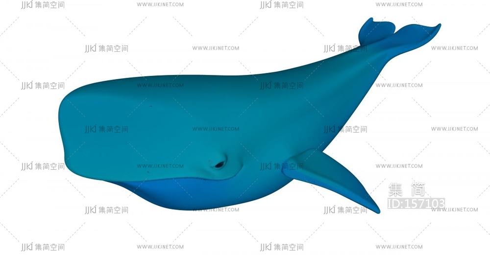 海洋中的大鲸鱼