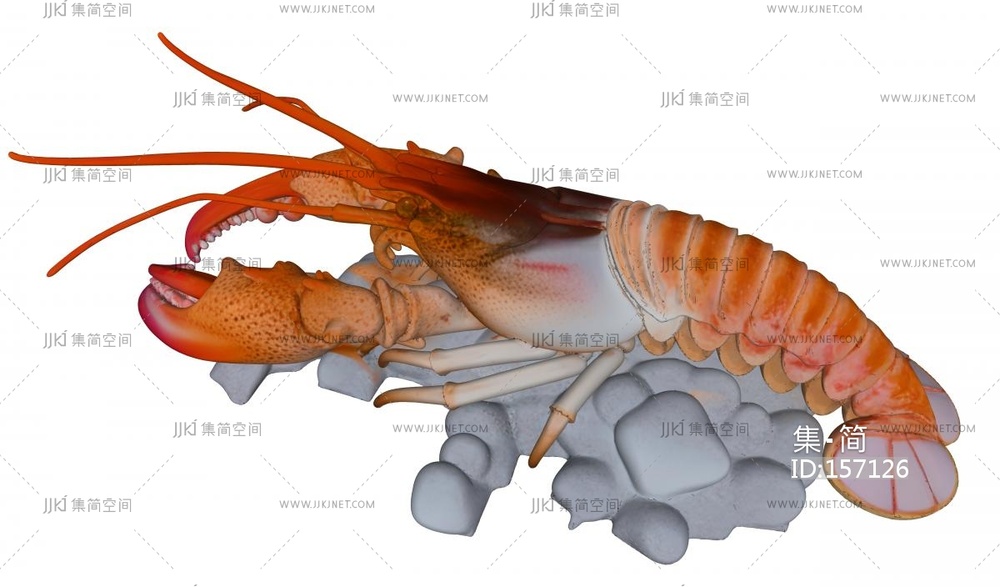 冰冻波士顿大虾