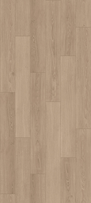 奶油法式木地板_原木色木地板_柚木地板_橡木地板贴图